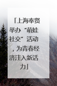 上海奉贤举办“萌娃社交”活动，为青春经济注入新活力