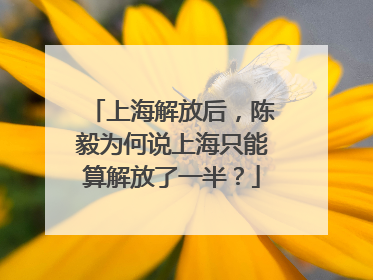 上海解放后，陈毅为何说上海只能算解放了一半？