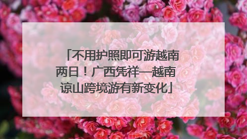 不用护照即可游越南两日！广西凭祥—越南谅山跨境游有新变化