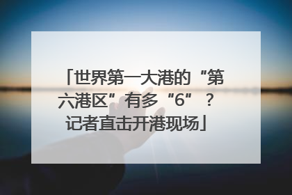 世界第一大港的“第六港区”有多“6”？记者直击开港现场