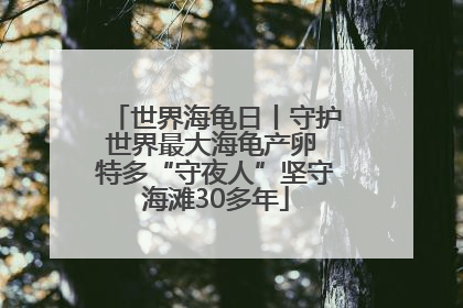 世界海龟日丨守护世界最大海龟产卵 特多“守夜人”坚守海滩30多年