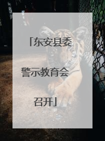 东安县委警示教育会召开