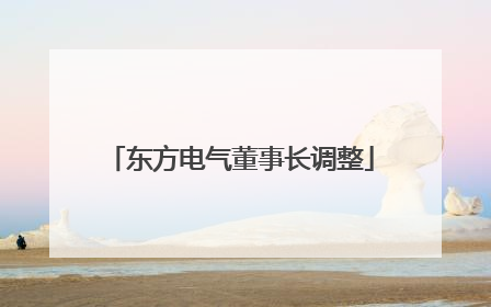 东方电气董事长调整