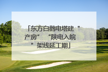 东方白鹳电塔建“产房” “陕电入皖”架线延工期