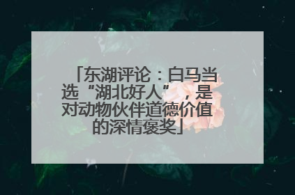 东湖评论：白马当选“湖北好人”，是对动物伙伴道德价值的深情褒奖