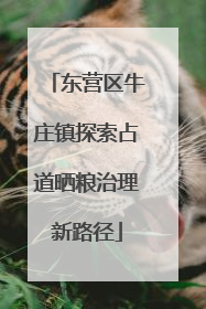 东营区牛庄镇探索占道晒粮治理新路径