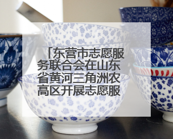东营市志愿服务联合会在山东省黄河三角洲农高区开展志愿服务活动