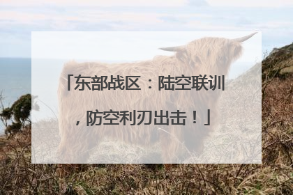 东部战区：陆空联训，防空利刃出击！