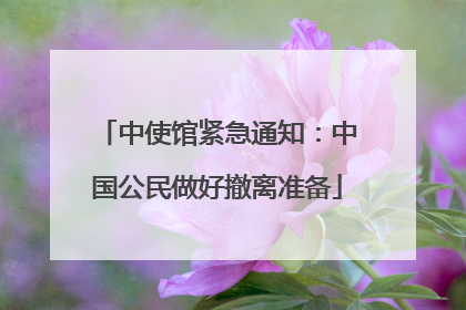 中使馆紧急通知：中国公民做好撤离准备