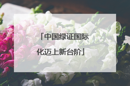 中国绿证国际化迈上新台阶