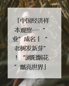 中国经济样本观察·一“业”成名丨“老树发新芽”！“浏阳烟花”燃亮世界