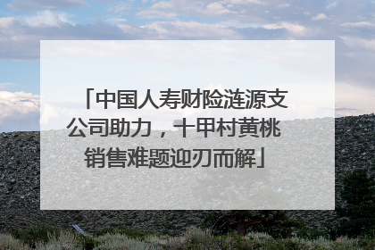 中国人寿财险涟源支公司助力，十甲村黄桃销售难题迎刃而解