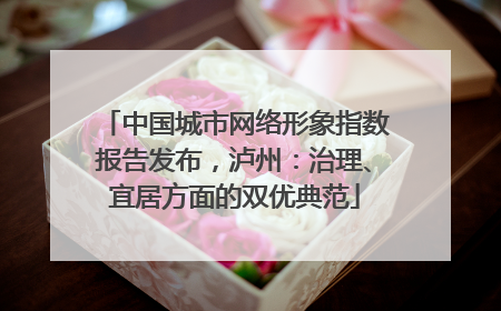 中国城市网络形象指数报告发布，泸州：治理、宜居方面的双优典范