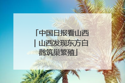 中国日报看山西｜山西发现东方白鹳筑巢繁殖