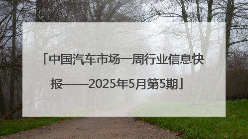中国汽车市场一周行业信息快报——2025年5月第5期