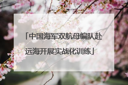 中国海军双航母编队赴远海开展实战化训练