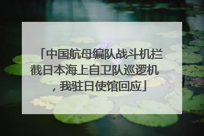 中国航母编队战斗机拦截日本海上自卫队巡逻机，我驻日使馆回应