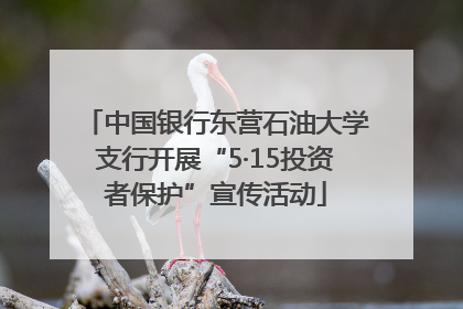中国银行东营石油大学支行开展“5·15投资者保护”宣传活动