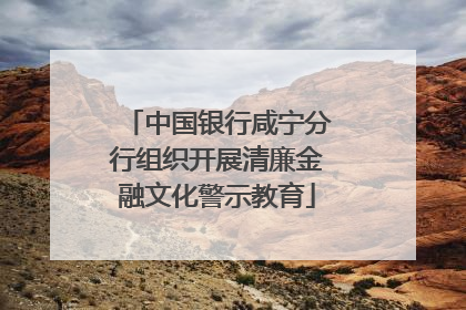 中国银行咸宁分行组织开展清廉金融文化警示教育
