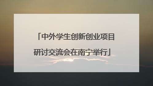 中外学生创新创业项目研讨交流会在南宁举行