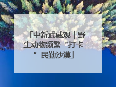 中新武威观｜野生动物频繁“打卡”民勤沙漠