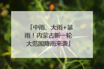 中雨、大雨+暴雨！内蒙古新一轮大范围降雨来袭