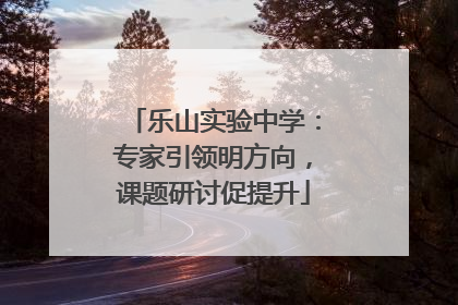 乐山实验中学：专家引领明方向，课题研讨促提升