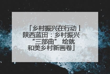乡村振兴在行动丨陕西蓝田：乡村振兴 “三部曲” 绘就和美乡村新画卷