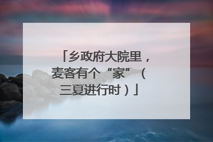 乡政府大院里，麦客有个“家”（三夏进行时）