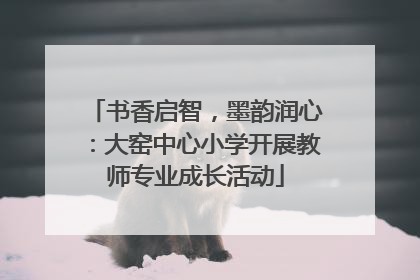 书香启智，墨韵润心：大窑中心小学开展教师专业成长活动
