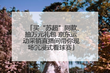 买“苏超”同款、抽万元礼包 京东运动采销直播间带你现场沉浸式看球赛