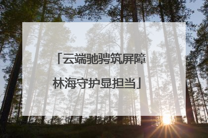 云端驰骋筑屏障 林海守护显担当
