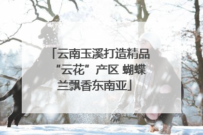 云南玉溪打造精品“云花”产区 蝴蝶兰飘香东南亚