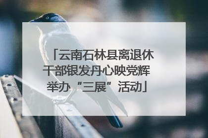 云南石林县离退休干部银发丹心映党辉举办“三展”活动