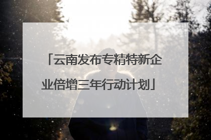 云南发布专精特新企业倍增三年行动计划