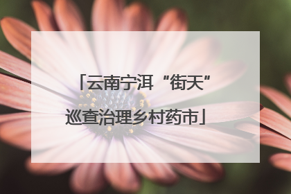 云南宁洱“街天”巡查治理乡村药市