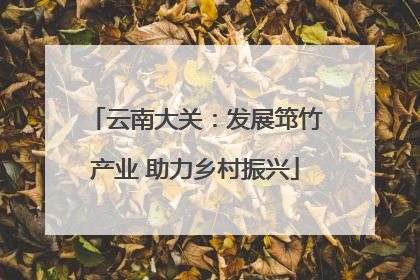 云南大关：发展筇竹产业 助力乡村振兴