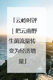 云岭时评｜把云南野生菌流量转变为经济增量