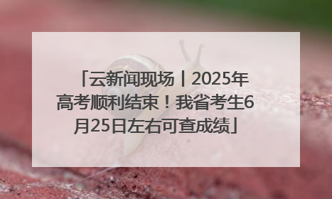 云新闻现场丨2025年高考顺利结束！我省考生6月25日左右可查成绩