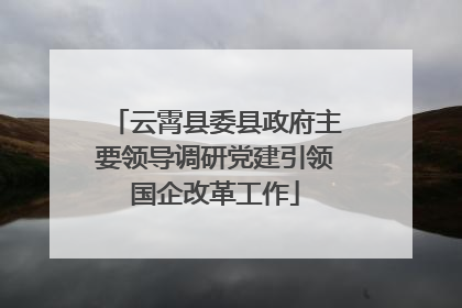 云霄县委县政府主要领导调研党建引领国企改革工作