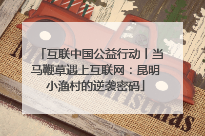 互联中国公益行动丨当马鞭草遇上互联网：昆明小渔村的逆袭密码