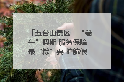 五台山景区｜“端午”假期 服务保障最“粽”要 护航假期“不打烊”