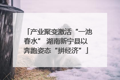 产业聚变激活“一池春水” 湖南新宁县以奔跑姿态“拼经济”