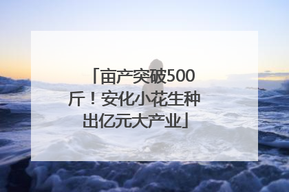 亩产突破500斤！安化小花生种出亿元大产业