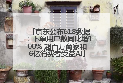 京东公布618数据：下单用户数同比增100% 超百万商家和6亿消费者受益AI