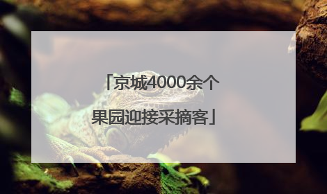 京城4000余个果园迎接采摘客