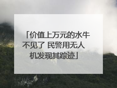 价值上万元的水牛不见了 民警用无人机发现其踪迹