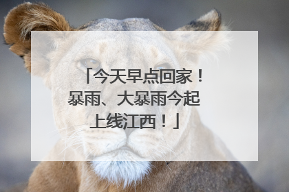 今天早点回家！暴雨、大暴雨今起上线江西！