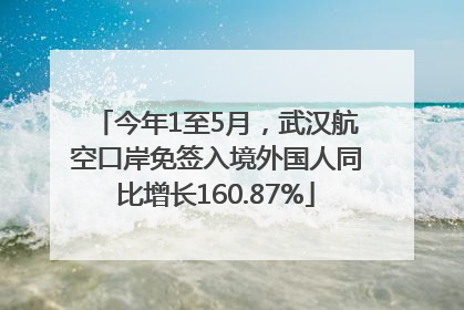 今年1至5月，武汉航空口岸免签入境外国人同比增长160.87%