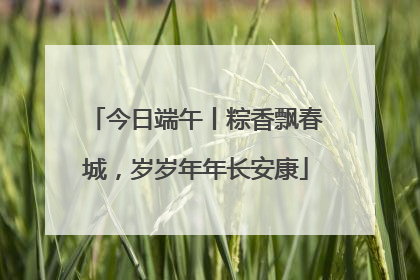 今日端午丨粽香飘春城，岁岁年年长安康